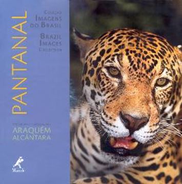 Imagem de PANTANAL
