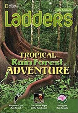 Imagem de LADDERS - TROPICAL RAIN FOREST ADVENTURE - BELOW LEVEL