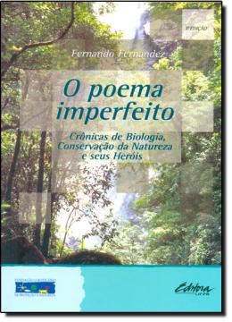 Imagem de POEMA IMPERFEITO, O