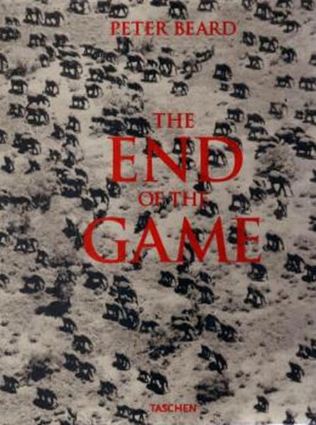 Picture of THE END OF THE GAME