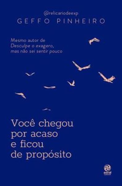 Picture of VOCE CHEGOU POR ACASO E FICOU DE PROPOSITO