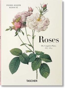 Imagem de ROSES