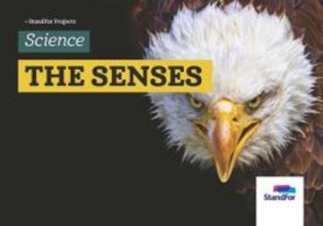 Imagem de STANDFOR BILINGUAL - LEVEL 1 - V37 - THE SENSES